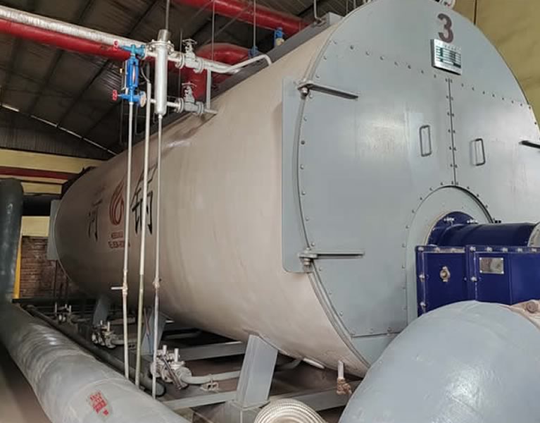 河北久鵬制藥1臺6噸兩臺10噸燃氣蒸汽鍋爐